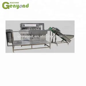 Shanghai Industrial Electric Apple Peeling Machine thumbnail-3