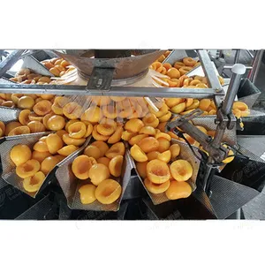 Industrial Canned Cherry Apple Production Processing Full Automatic Line thumbnail-1
