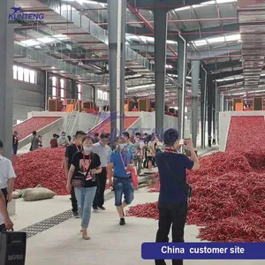 Huge Capacity Chilli Mesh Belt Drying Machine Vegetables Dryer Equipment Continuous EPC thumbnail-5