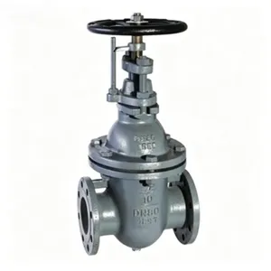JIS F7363 Marine Cast Iron Gate Valve, 5K/10K Pressure Rating, DN50-DN300 thumbnail-1