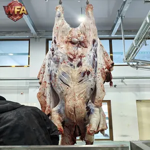 Whole Cow Slaughtering Line CE Certification Cattle Abattoir Machinery Beef Butcher Equipment Meat Processing Factory thumbnail-3