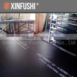 Formwork Plywood for Australia Market thumbnail-6