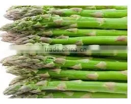 Organic Fresh Asparagus From Thailand thumbnail-1