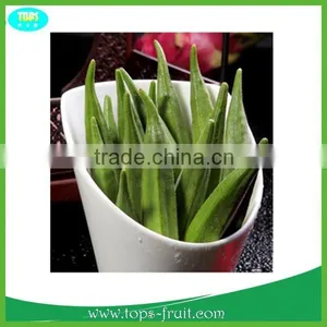 Fresh Organic Okra High Quality With Competitive Prices thumbnail-1