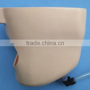 Dental Manikin Phantom Head/Dental Training Head Simulator Manikin With Torso for Student thumbnail-5
