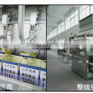 25L Automatic Strong Acid Liquid Filling Machine thumbnail-3