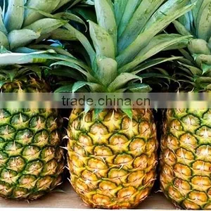 Fresh Pineapple thumbnail-2