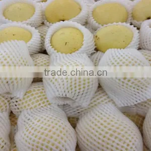EPE Colorful Fruit and Vegetable Packaging Foam Nets thumbnail-4