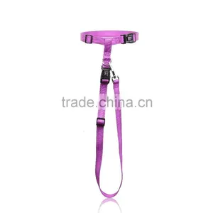 Reflective Yarn Nylon Dog Leash Snap Hook thumbnail-2