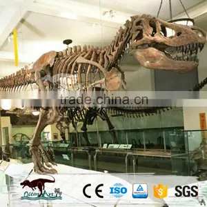 Indoor Exhibition Life Size Artificial Dinosaur Skeleton thumbnail-2