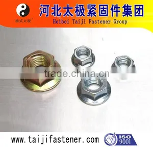 Hex Flange Nut thumbnail-1