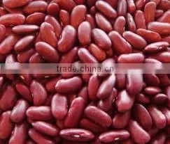 Red Kidney Beans thumbnail-1
