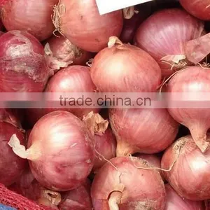 Market Price for Fresh Red Onion thumbnail-2