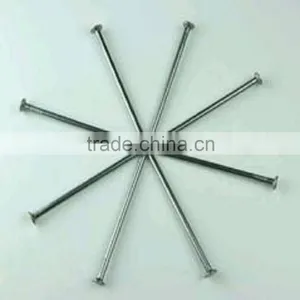 Hot Sale Low Price Good Quality Common Nail thumbnail-4