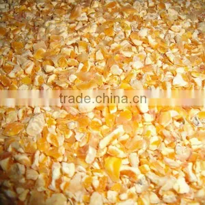 YELLOW MAIZE thumbnail-1