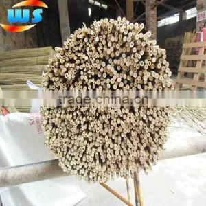 Bamboo Products/First Grade Netherlands Dyed Bamboo Canes 75cm 8--10mm thumbnail-1