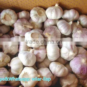 2014 Fresh Garlic , Jinxiang Garlic Normal White and Pure White thumbnail-1
