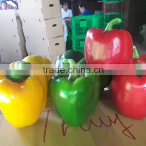 FRESH BELL CHILLI / SWEET CHILLI thumbnail-2
