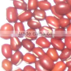 Adzuki Beans thumbnail-1