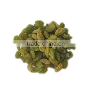 China Suppliers Best Price Green Raisin thumbnail-5