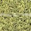 Indian Fennel Seeds thumbnail-4
