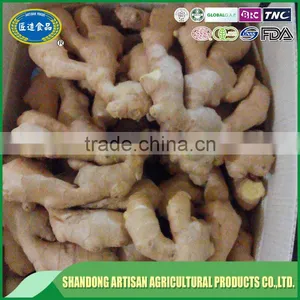 New Crop Buyer of Dry Ginger thumbnail-3