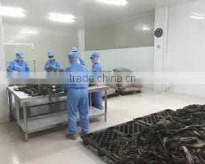 Fuzhou Wonderful Biological Technology Co., Ltd. company overview - view 3 thumbnail
