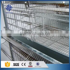 30 Years' Factory Supply Automatic Chicken Nest thumbnail-4