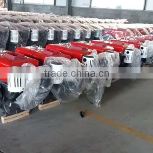 Chinese Diesel Engine thumbnail-1