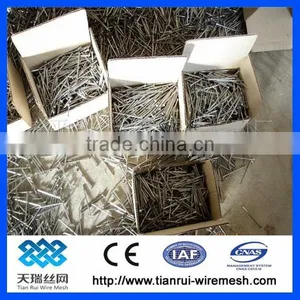 Common Wire Nail/polished Common Nail/bright Common Nail thumbnail-5