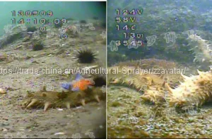 Chinese Supplier Hand Held Shrimp Monitoring Underwater Fish Finder Video Camera thumbnail-2
