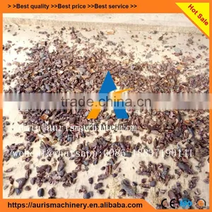 High Efficiency Cocoa Bean Cleaning Peeling Peeler Machine thumbnail-6