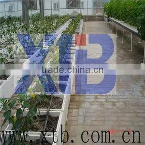China Manufacturer Cheap Hydroponic Greenhouse thumbnail-1