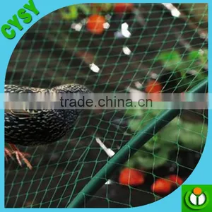 Agriculture Used 100% Virgin HDPE Plastic Green Weaving Anti-bird Net on Hot Selling thumbnail-3