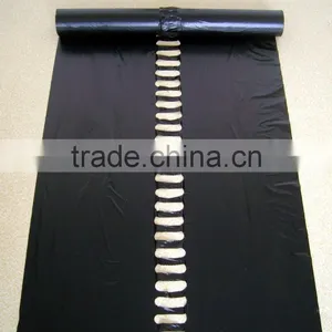 PE Agricultural Black Mulch Film With Different Holes thumbnail-4