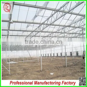 Hot Sale 12m Multi-span Agriculture Plastic Greenhouses for Vegetables thumbnail-3