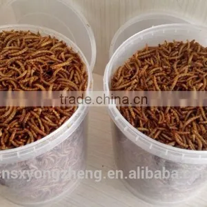 Natural Balance Pet Food Supplies Mealworms thumbnail-5