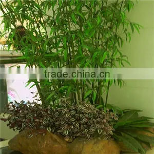 High Imitation Wholesale Artificial Decorative Bamboo,fake Bamboo thumbnail-3
