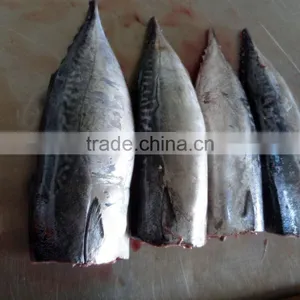 Frozen Bonito HGT thumbnail-4