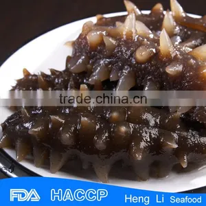 China Supplier Food Salted Sea Cucumber thumbnail-1