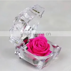 Good Selling Top Quality Preserved Natural Rose Flower In Box As Ladies Gift Items thumbnail-5