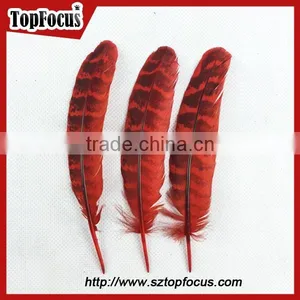 Reeves Cheap Natural Pheasant Tail Pheasant Feather for Sale thumbnail-3