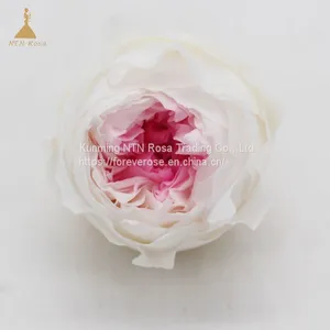 Preserved Rose Flowers Dried Flowers Birthday Valentine Party Wedding thumbnail-1