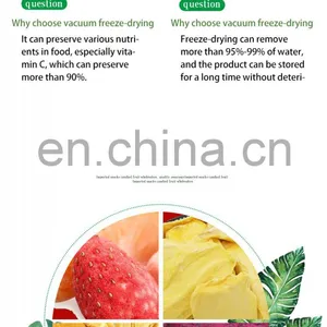 Variable Temperature Differential Pressure Puffing Equipment Puffing Drying for Fruit and Vegetable thumbnail-4