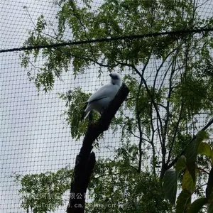 Stainless Steel Wire Rope Zoo Animals Enclosure Bird Aviary Ferrule Netting thumbnail-5