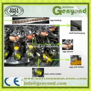 Egg Shell and Liquid Separating Machine|Chicken Egg Breaking Machine thumbnail-5