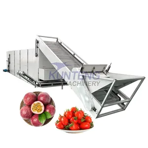 Vegetable Dryer Tomato Drying Equipment Passion Fruit Dryer Fruit Drying Production Line EPC thumbnail-1