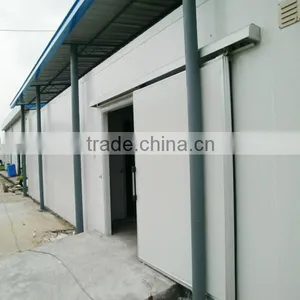Dragon Fruit Refrigerating Room With Different Temperature thumbnail-1