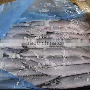 Seafrozen Pacific Saury wr thumbnail-4