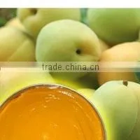 Yellow Peach Puree thumbnail-1